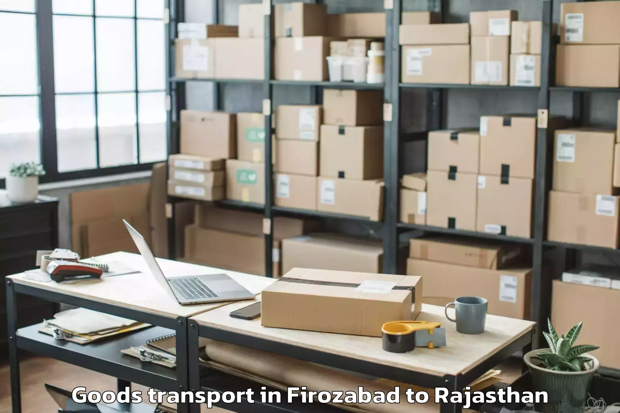 Professional Firozabad to Nims University Jaipur Goods Transport